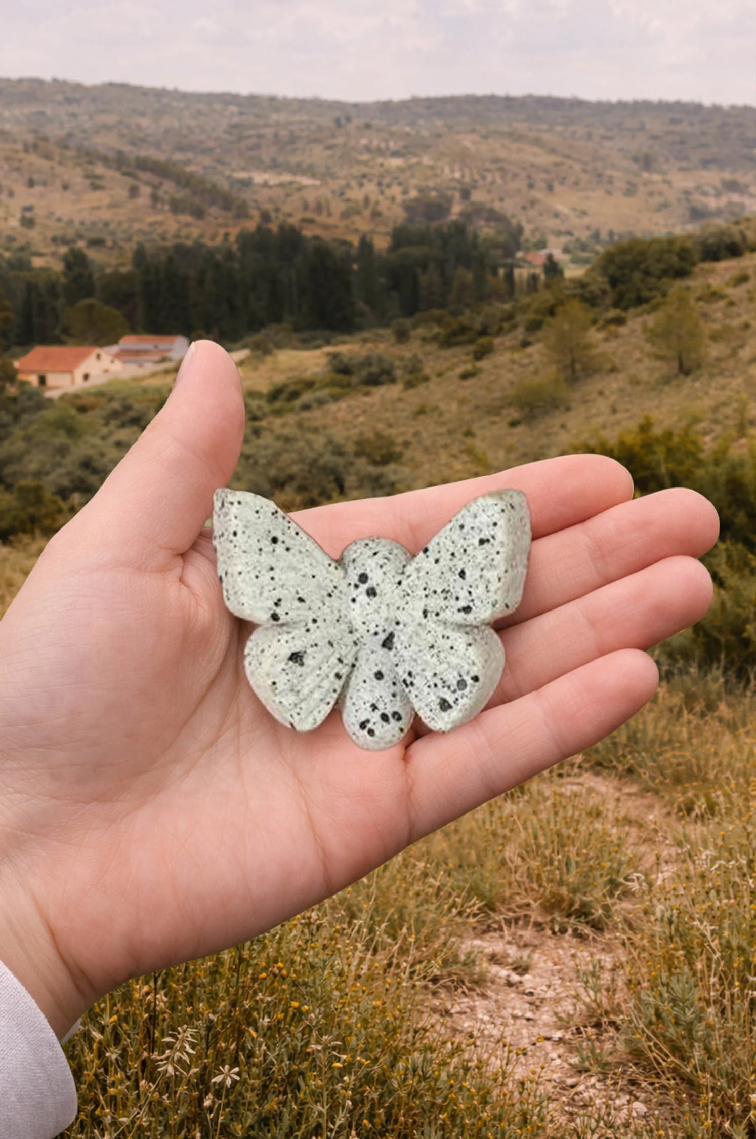 Miniatura 6